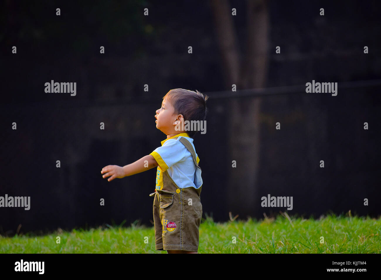 Cute baby walking in garden, Pune, Maharashtra. Banque D'Images