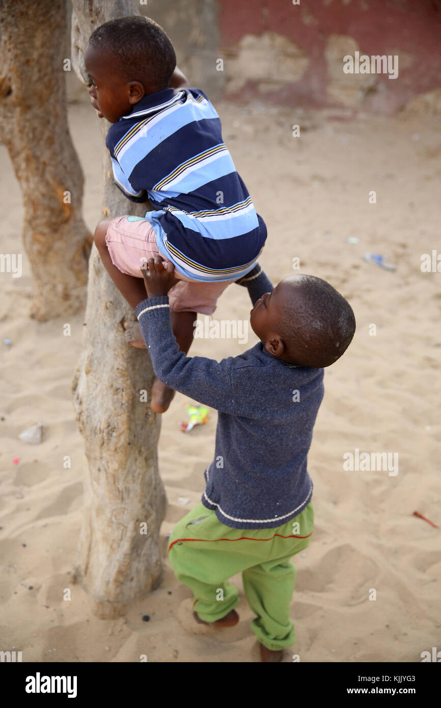 Les garçons l'ascension d'une arborescence. Le Sénégal. Banque D'Images