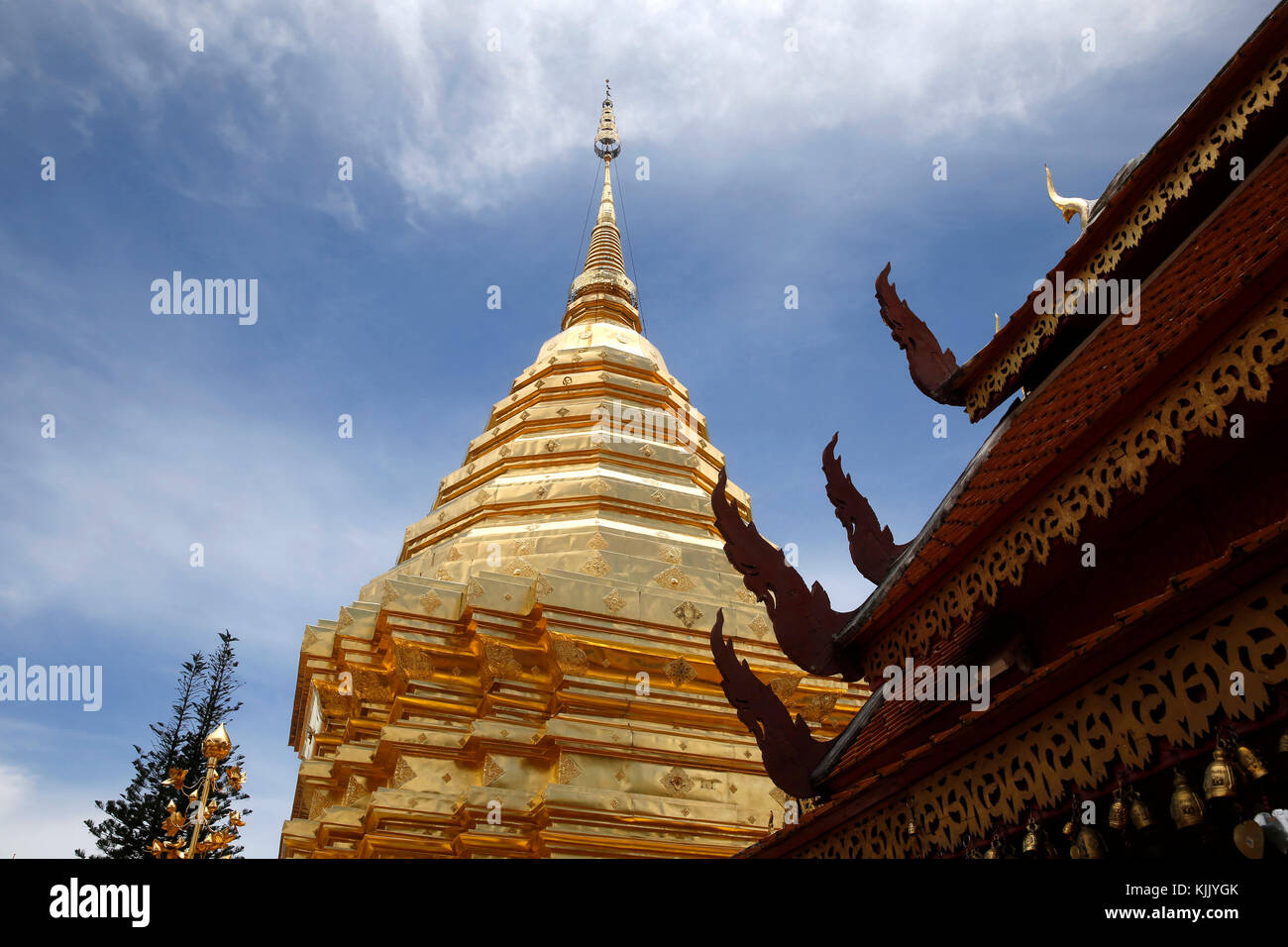 Wat Phra That Doi Suthep, Chiang Mai en Thaïlande. Banque D'Images