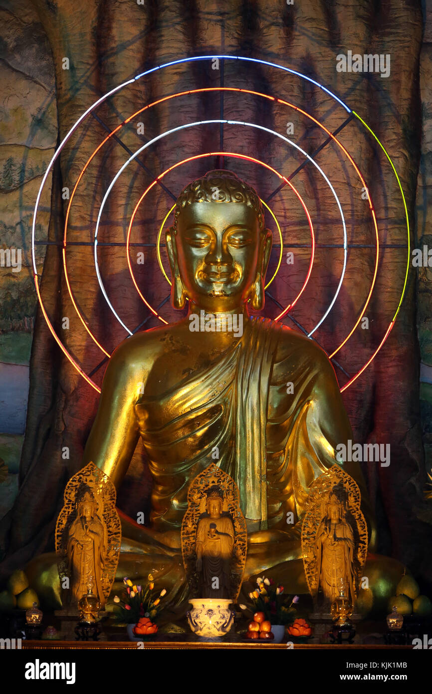 Linh Phuoc pagode bouddhiste. Assis golden buddha figure dans le hall principal. Dalat. Le Vietnam. Banque D'Images