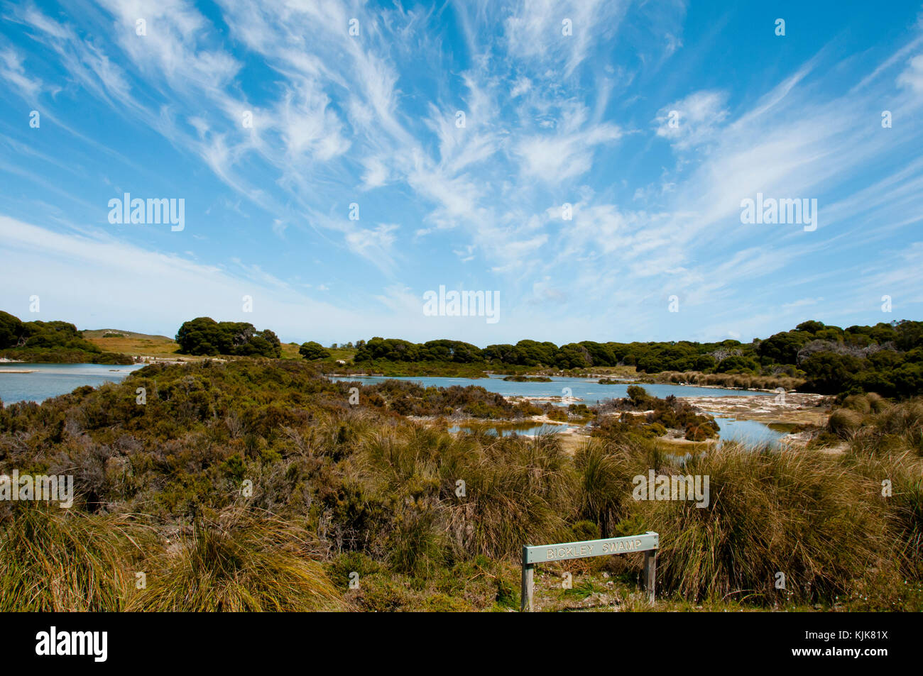 Bickley swamp - Rottnest Island - Australie Banque D'Images