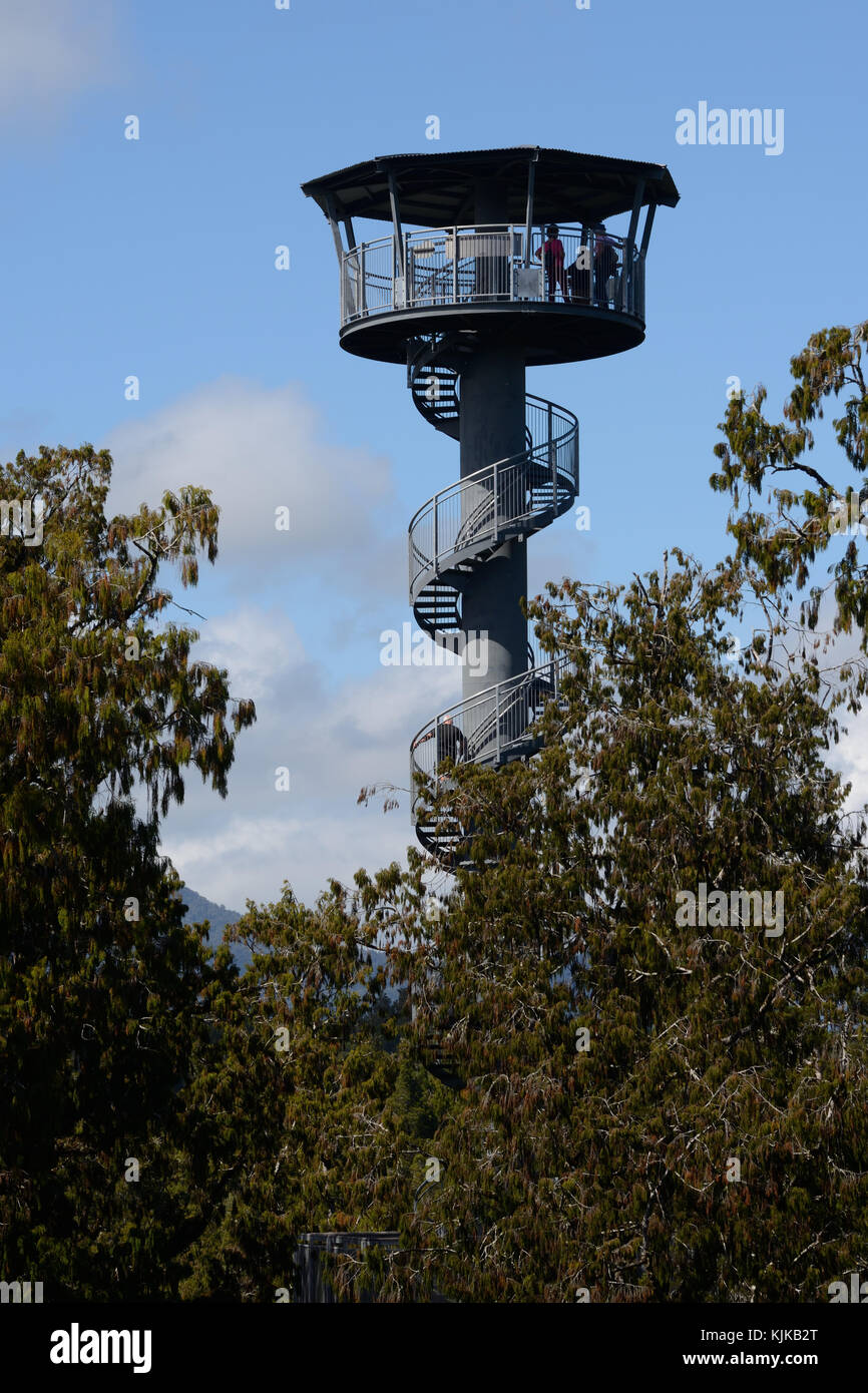 HOKITIKA, Nouvelle-Zélande, le 10 mars 2017 : les visiteurs profiter de la vue de forêt pluviale tempérée et les montagnes de la tour haute de 67m sur la Cime des arbres à pied. Banque D'Images