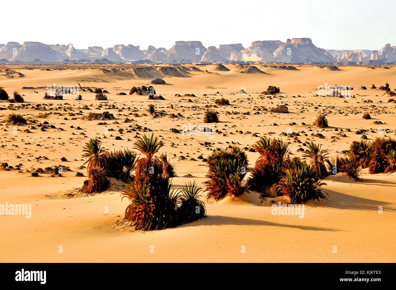 Désert de Libye, province Assiout. L'Égypte. Banque D'Images
