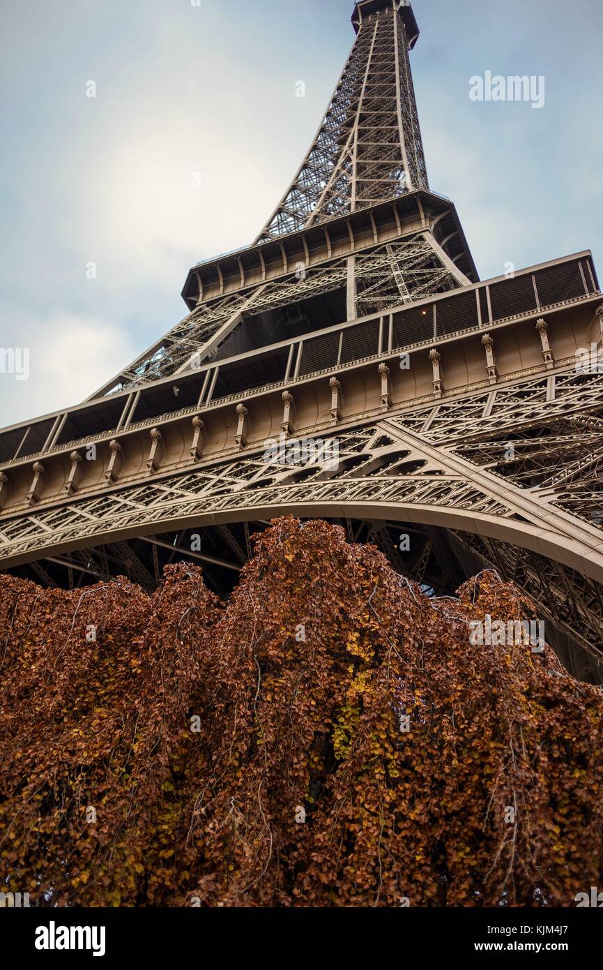 Tour Eiffel - 22/11/2012 - France / Ile-de-France (région) / Paris - Tour Eiffel - la dame de fer de Paris, la Tour Eiffel - Sylvain Leser / le Pictorium Banque D'Images
