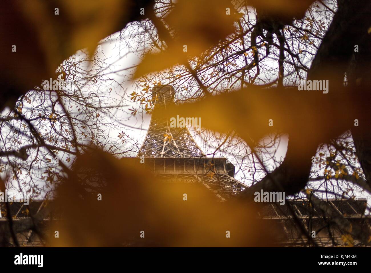 Tour Eiffel - 24/11/2012 - - Tour Eiffel - automne couleur au pied de la Tour Eiffel à Paris - Sylvain Leser / le Pictorium Banque D'Images
