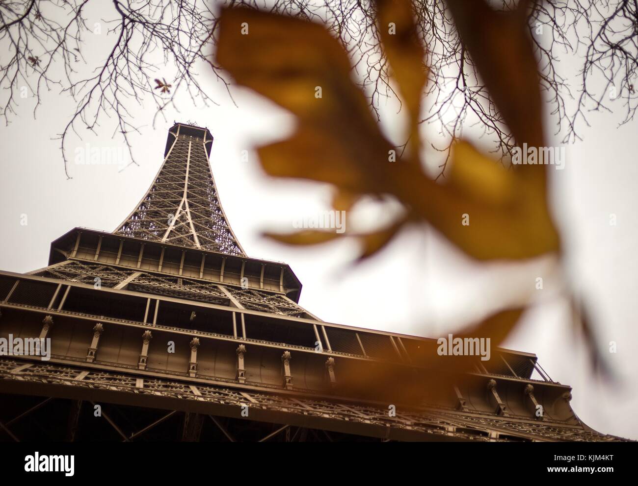 Tour Eiffel - 24/11/2012 - - Tour Eiffel - automne couleur au pied de la Tour Eiffel à Paris - Sylvain Leser / le Pictorium Banque D'Images