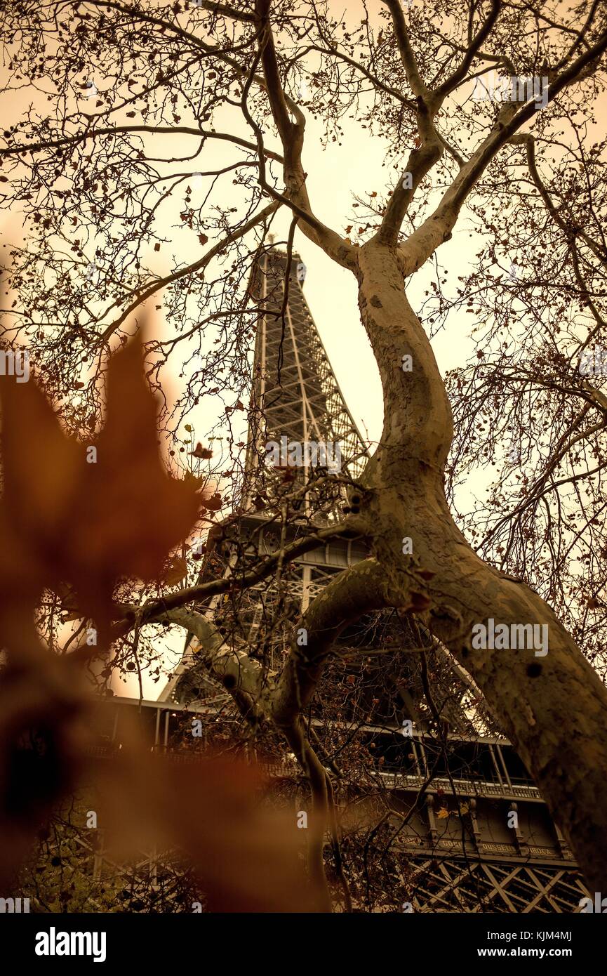 Tour Eiffel - 24/11/2012 - - Tour Eiffel - automne couleur au pied de la Tour Eiffel à Paris - Sylvain Leser / le Pictorium Banque D'Images