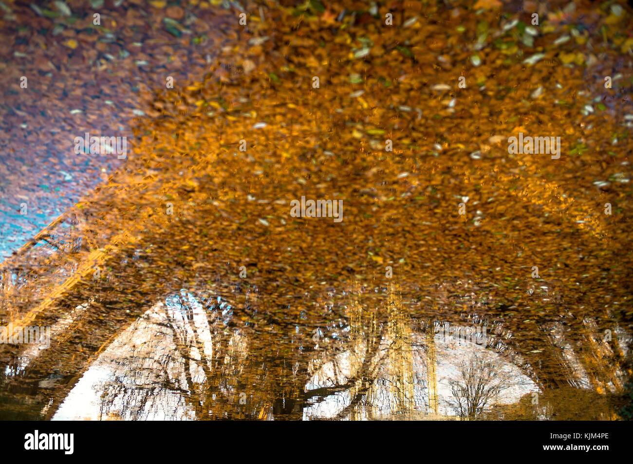 Tour des feuilles cueillies - 25/11/2012 - France / Ile-de-France (région) / Paris - la Tour Eiffel, Paris à l'automne. - Sylvain Leser / le Pictorium Banque D'Images