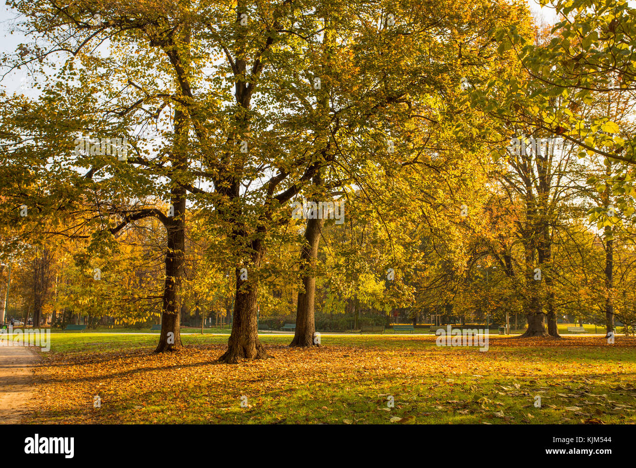 L'automne dans le parc Sempione à Milan, Italie. Banque D'Images