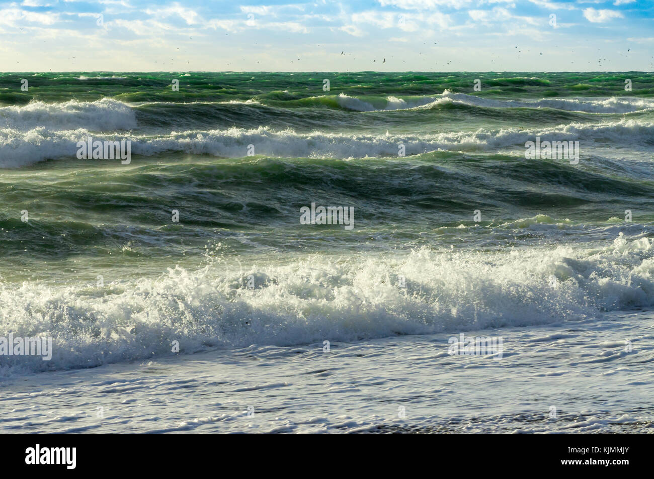 Belle tempête, vagues vertes sur la mer et les mouettes contre le ciel bleu Banque D'Images