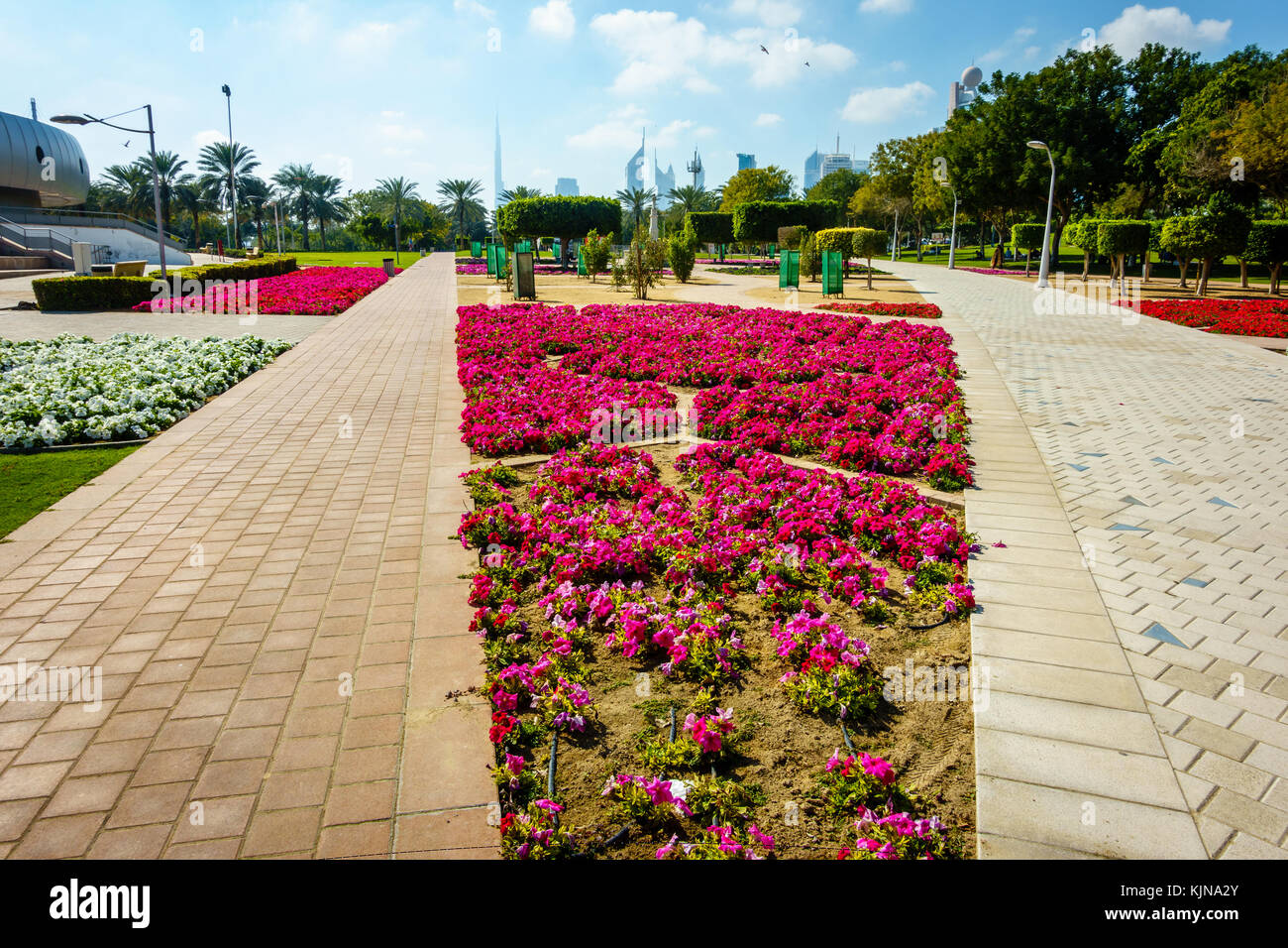 Ruelles et rose ... lits dans zabeel park à Dubaï avec le centre-ville dans la toile Banque D'Images