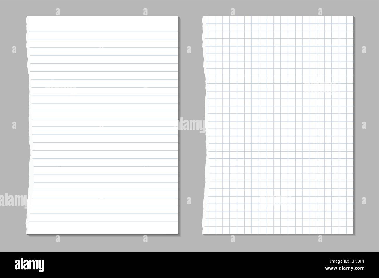 Vector set de feuilles déchirées et bordée d'un cahier de papier carré Illustration de Vecteur