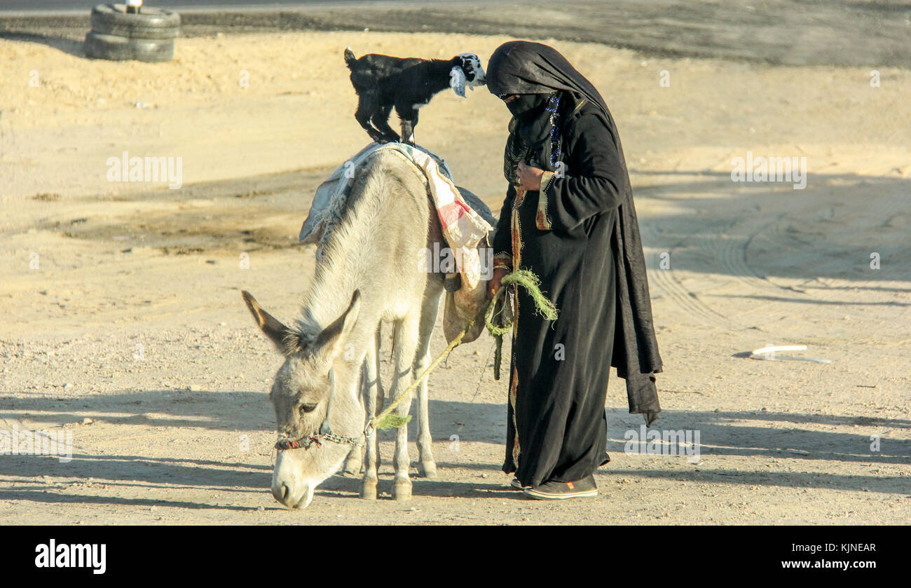 La femme arabe au chèvre et de l'âne sur la station de bus près de Hurghada. Cette gare routière est une attraction touristique sur la route de Louxor. Banque D'Images