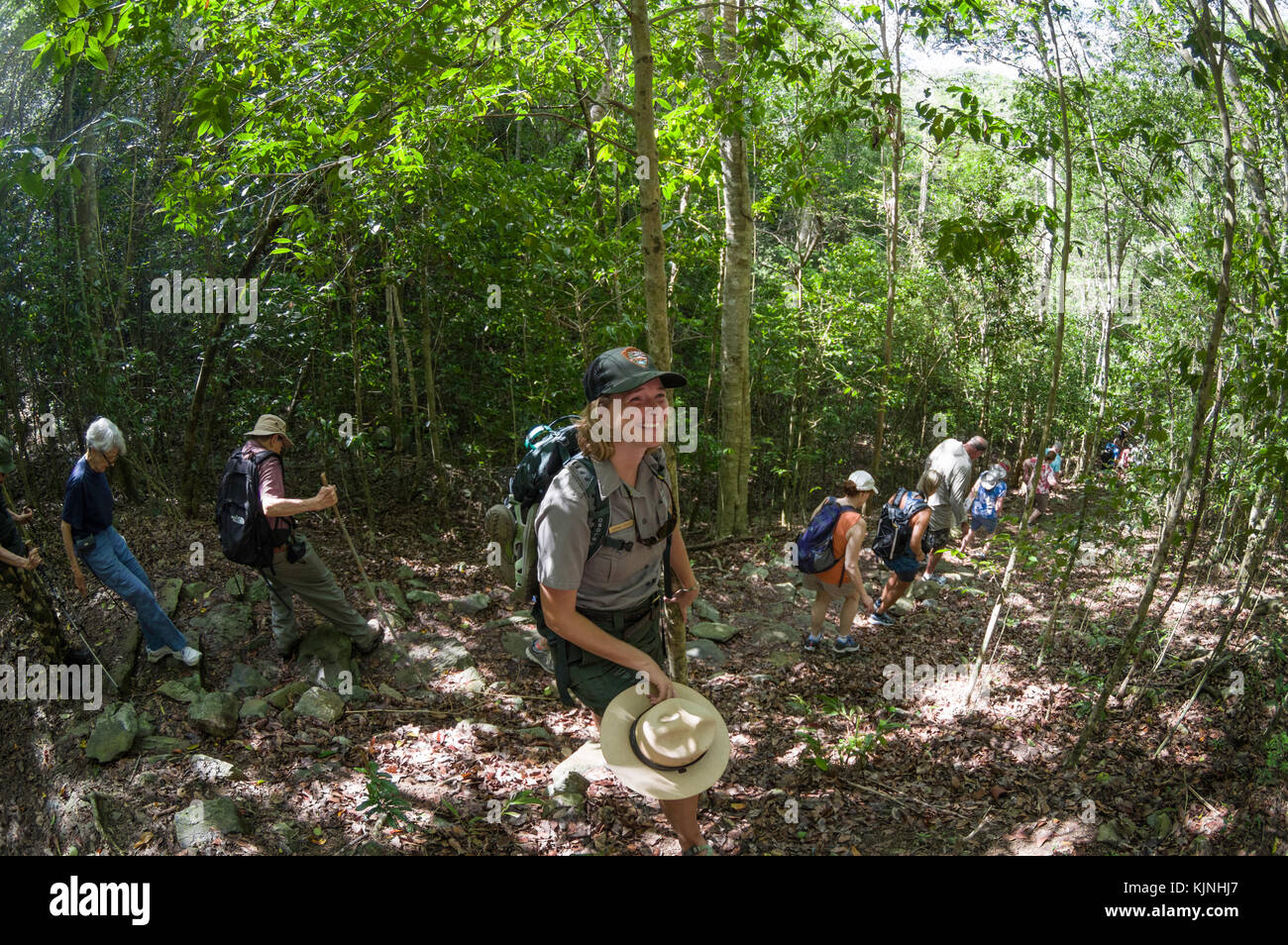 Les randonneurs sur les SEN ranger conduit randonnée pédestre, St John, US Virgin Islands National Park Banque D'Images