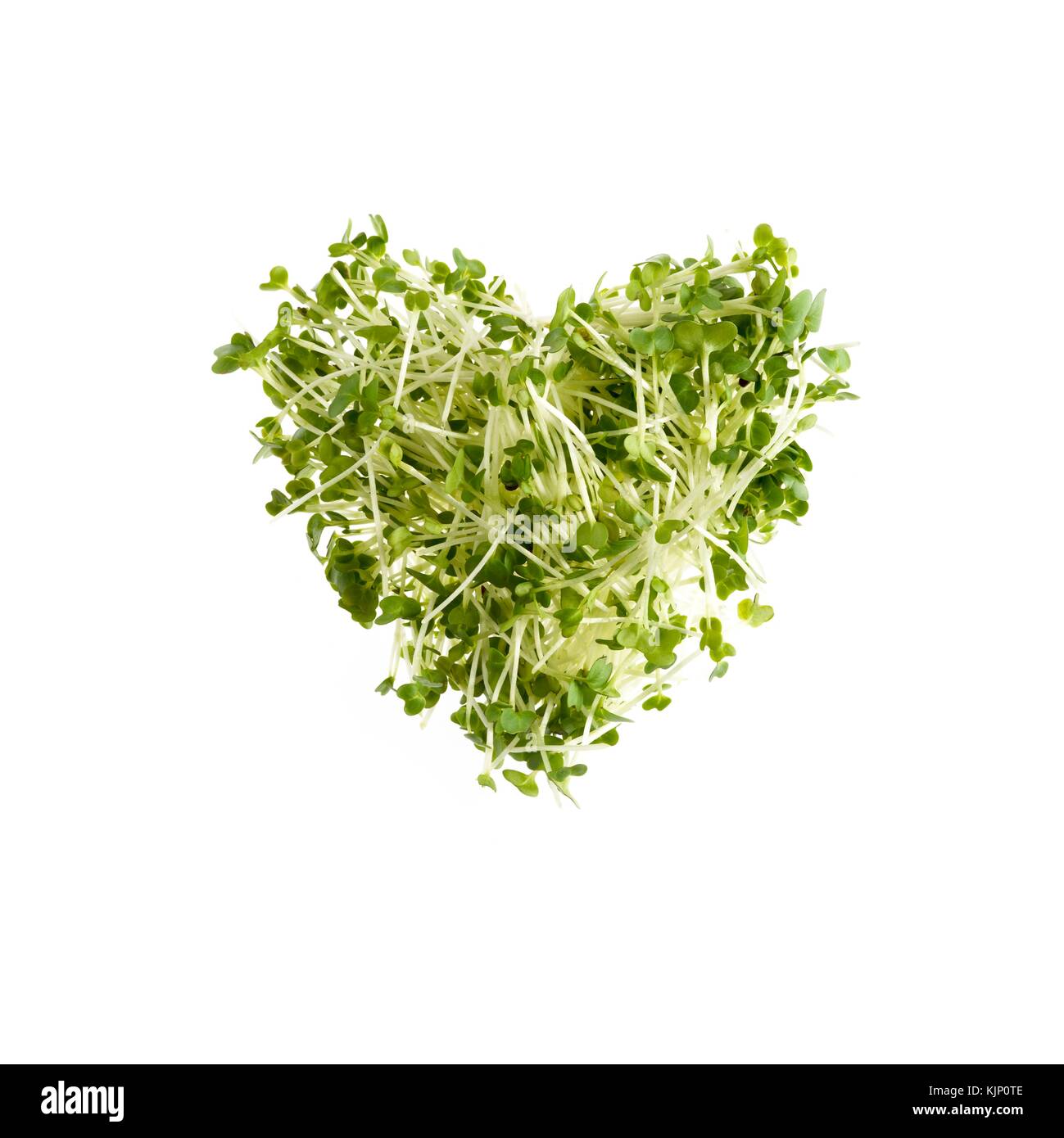 Cress, germination, en forme de coeur sur fond blanc. Banque D'Images