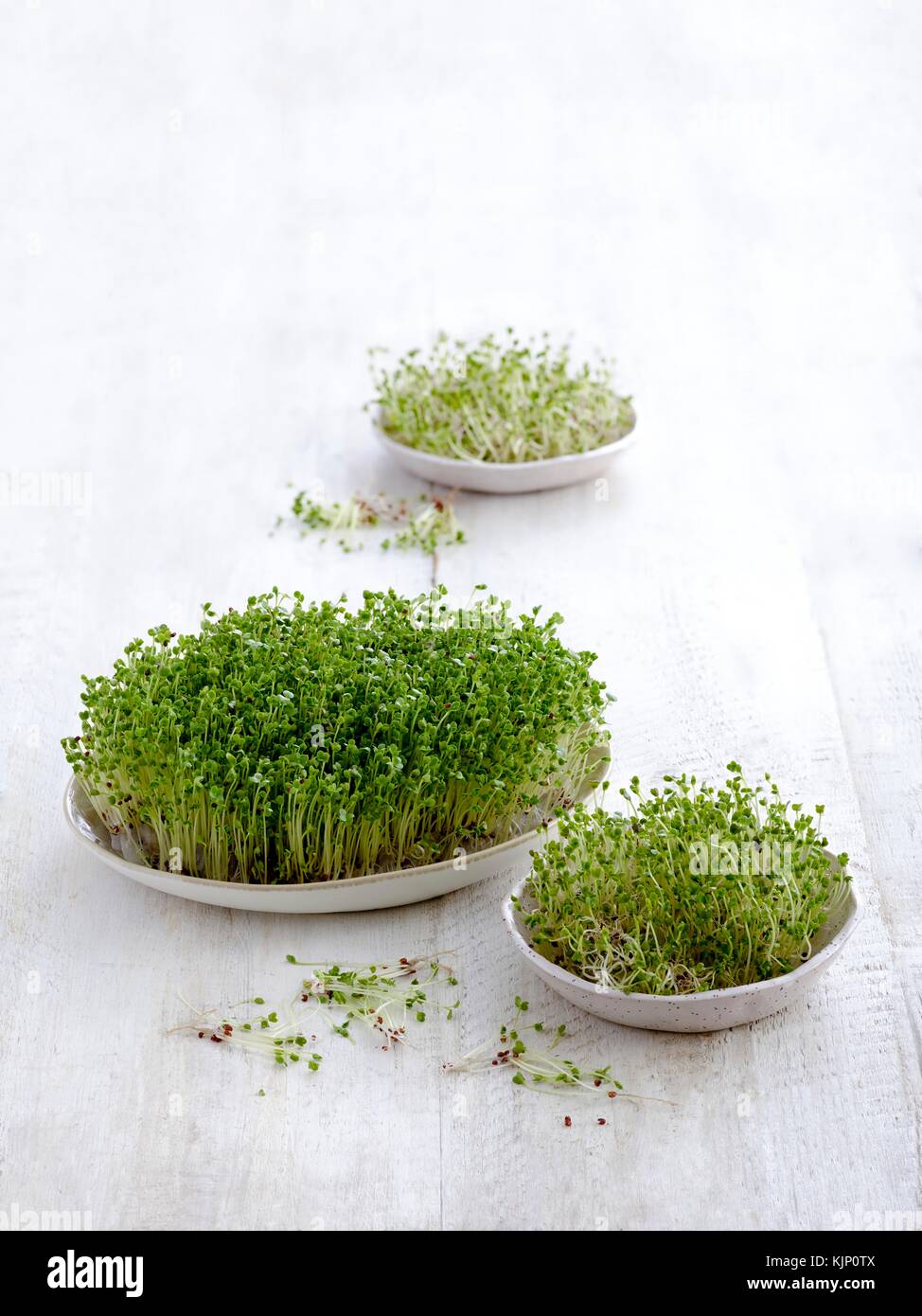 Sprouting brocoli dans les plats. Banque D'Images