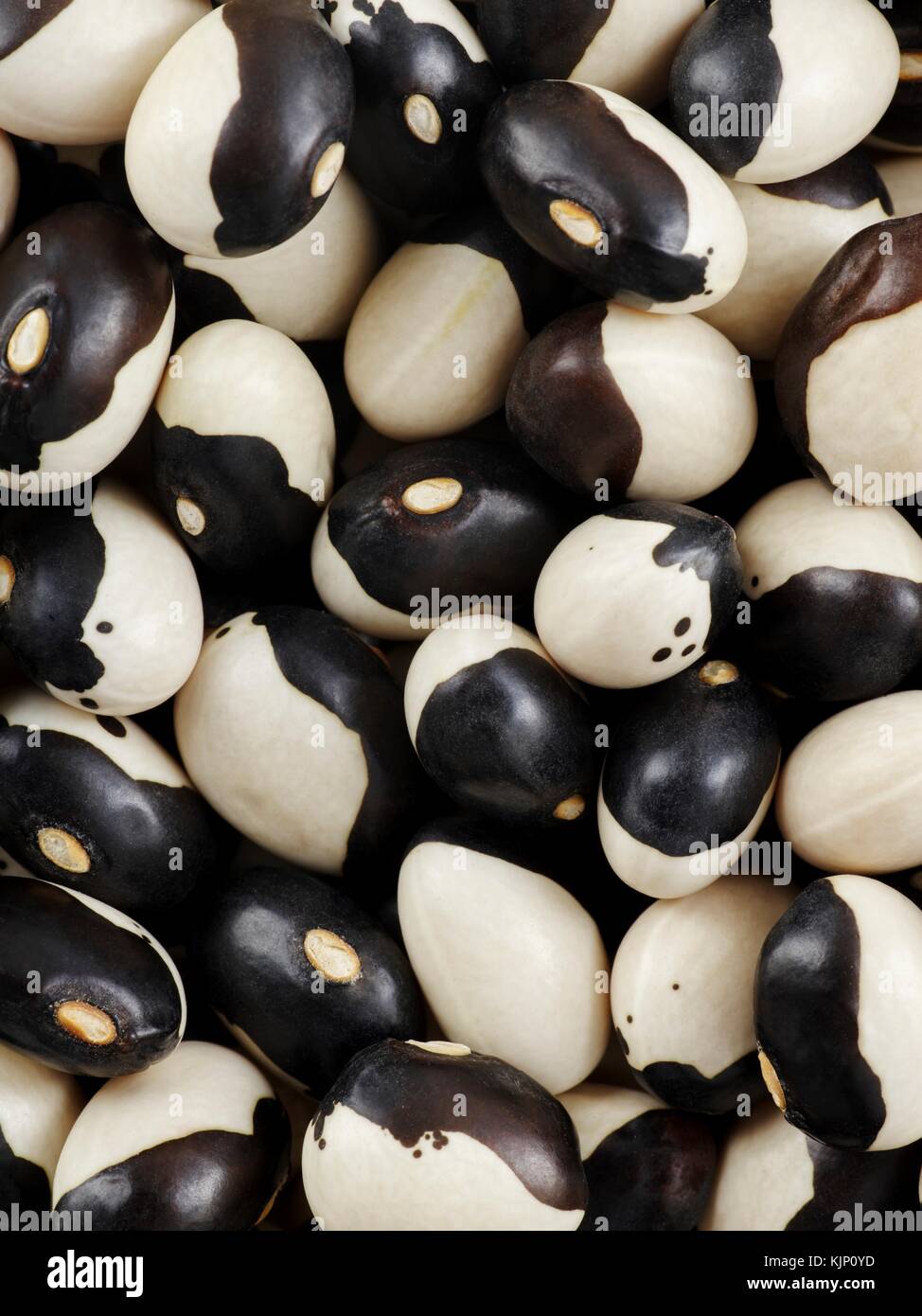 L'okra haricots, full frame. Banque D'Images