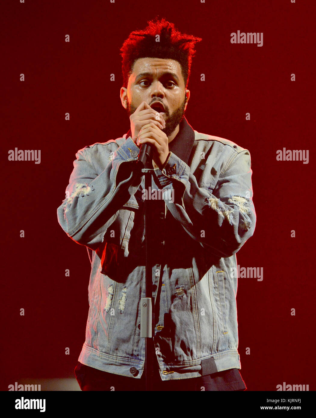 'The Weeknd - Starboy: Legend of the Fall 2017 World Tour' à AmericanAirlines Arena avec: The Weeknd Where: Miami, Florida, Etats-Unis quand: 24 Oct 2017 Credit: JLN Photography/WENN.com Banque D'Images