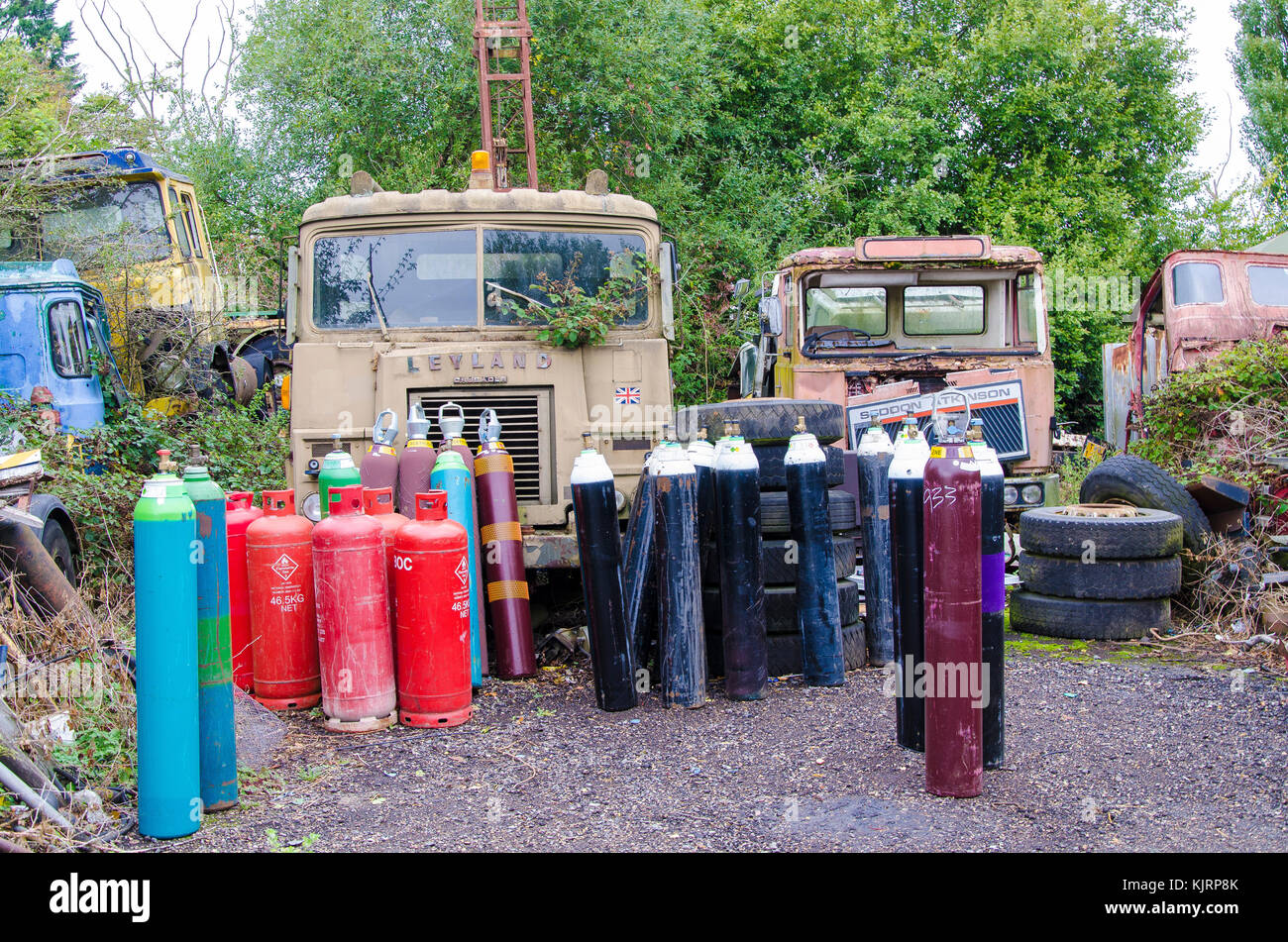 Un parc à ferrailles qui tient spécifiquement ventilées pour mise au rebut des véhicules et pièces de véhicule complètement grandi et véhicules abandonnés. Banque D'Images