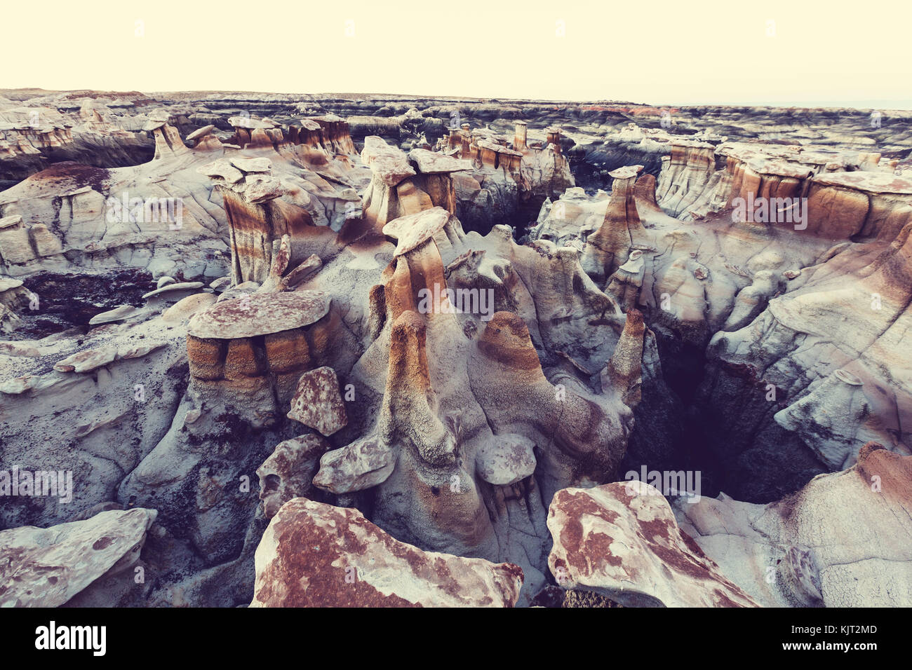 Bisti badlands, de-na-zin Wilderness Area, New Mexico, USA Banque D'Images