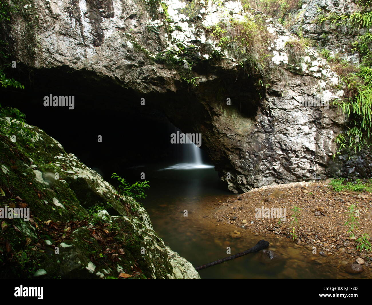 Pont Naturel et cascade de Springbrook National Park, Australie Banque D'Images