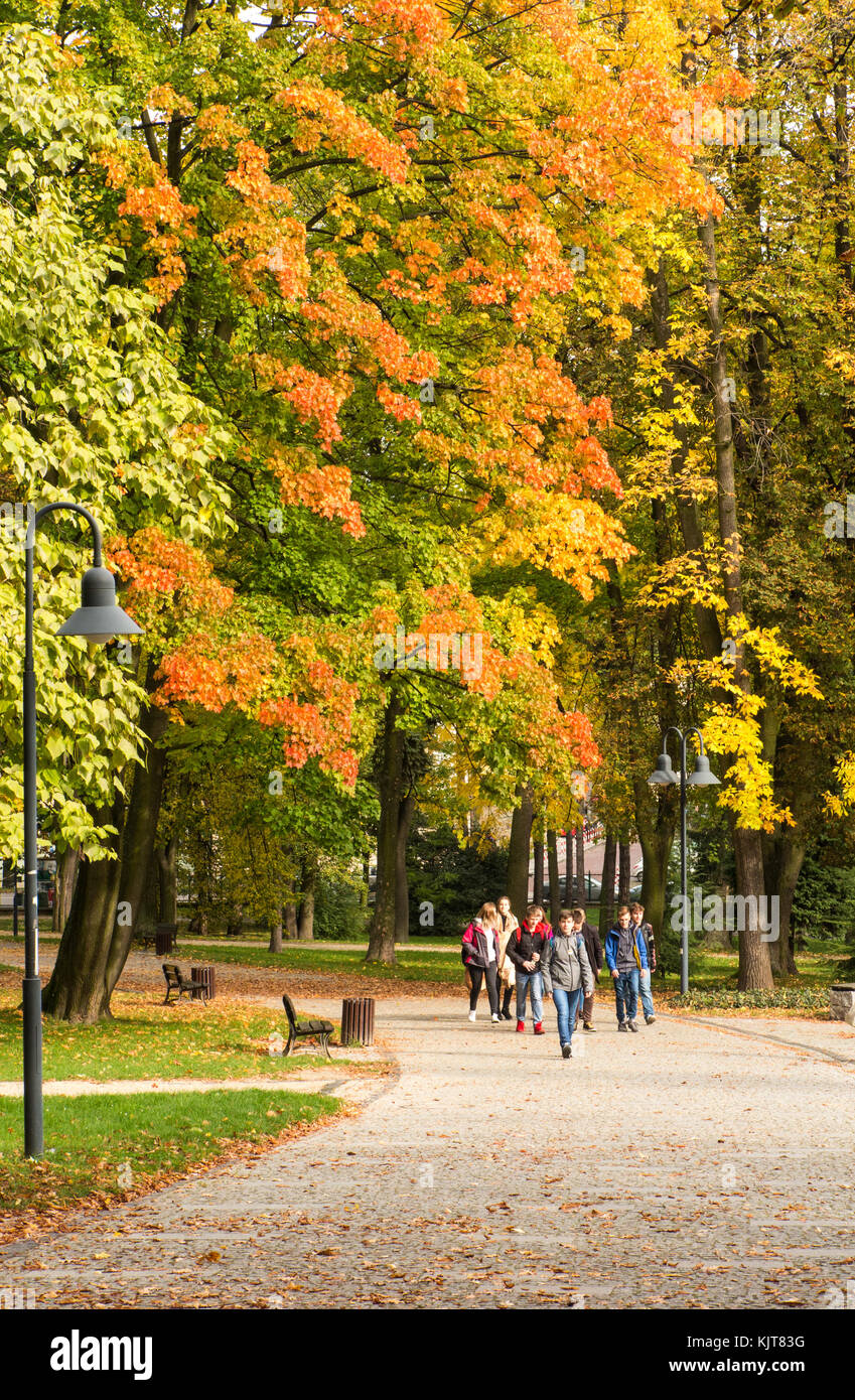 Groupe d'enfants de l'école une ville dans un parc et forêt dans l'automne avec les arbres montrant leurs couleurs d'automne Banque D'Images