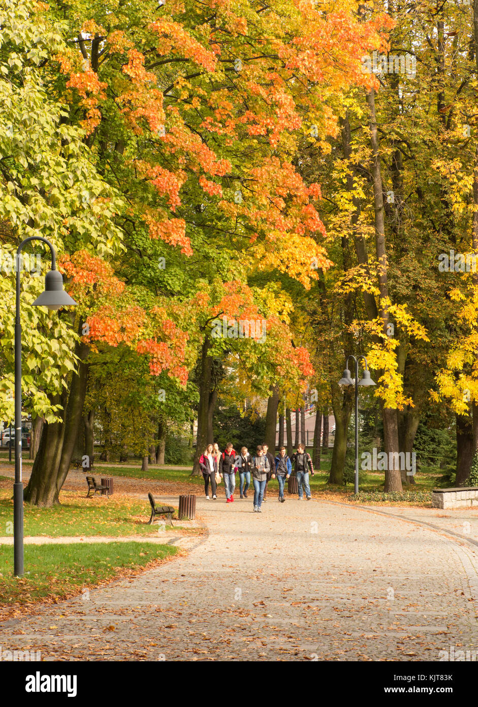 Groupe d'enfants de l'école une ville dans un parc et forêt dans l'automne avec les arbres montrant leurs couleurs d'automne Banque D'Images