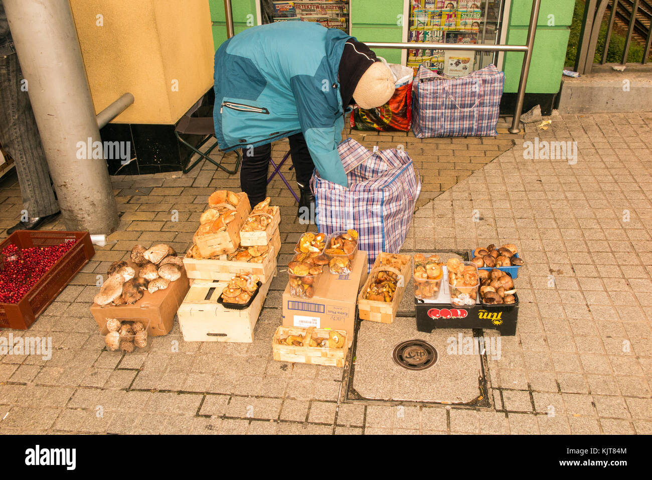 Les femmes vendent des champignons sauvages et des champignons recueillis à partir de la forêt locale de l'pavemen sur le marché à Czestochowa en Pologne au cours de l'automne temps Banque D'Images