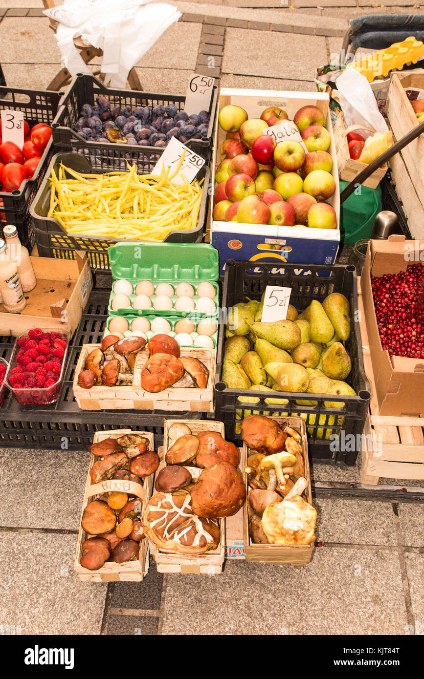 Les commerçants du marché de la vente des champignons sauvages et des champignons recueillis à partir de la forêt locale de petits stands sur le marché à Czestochowa en Pologne au cours de l'automne temps Banque D'Images