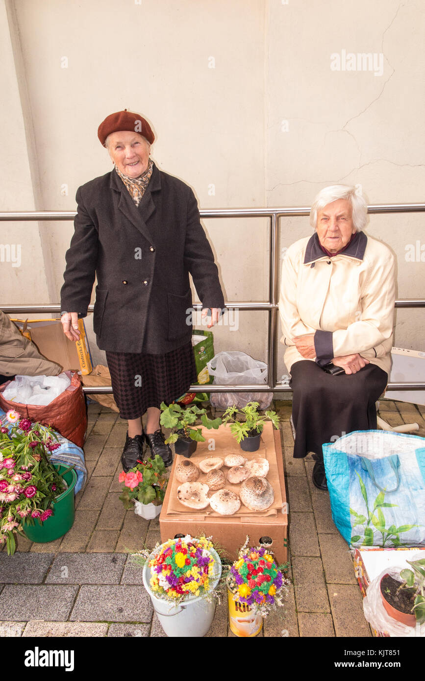 Deux vieilles dames vendent des champignons sauvages et des champignons recueillis à partir de la forêt locale de petits stands sur le marché à Czestochowa en Pologne au cours de l'automne temps Banque D'Images