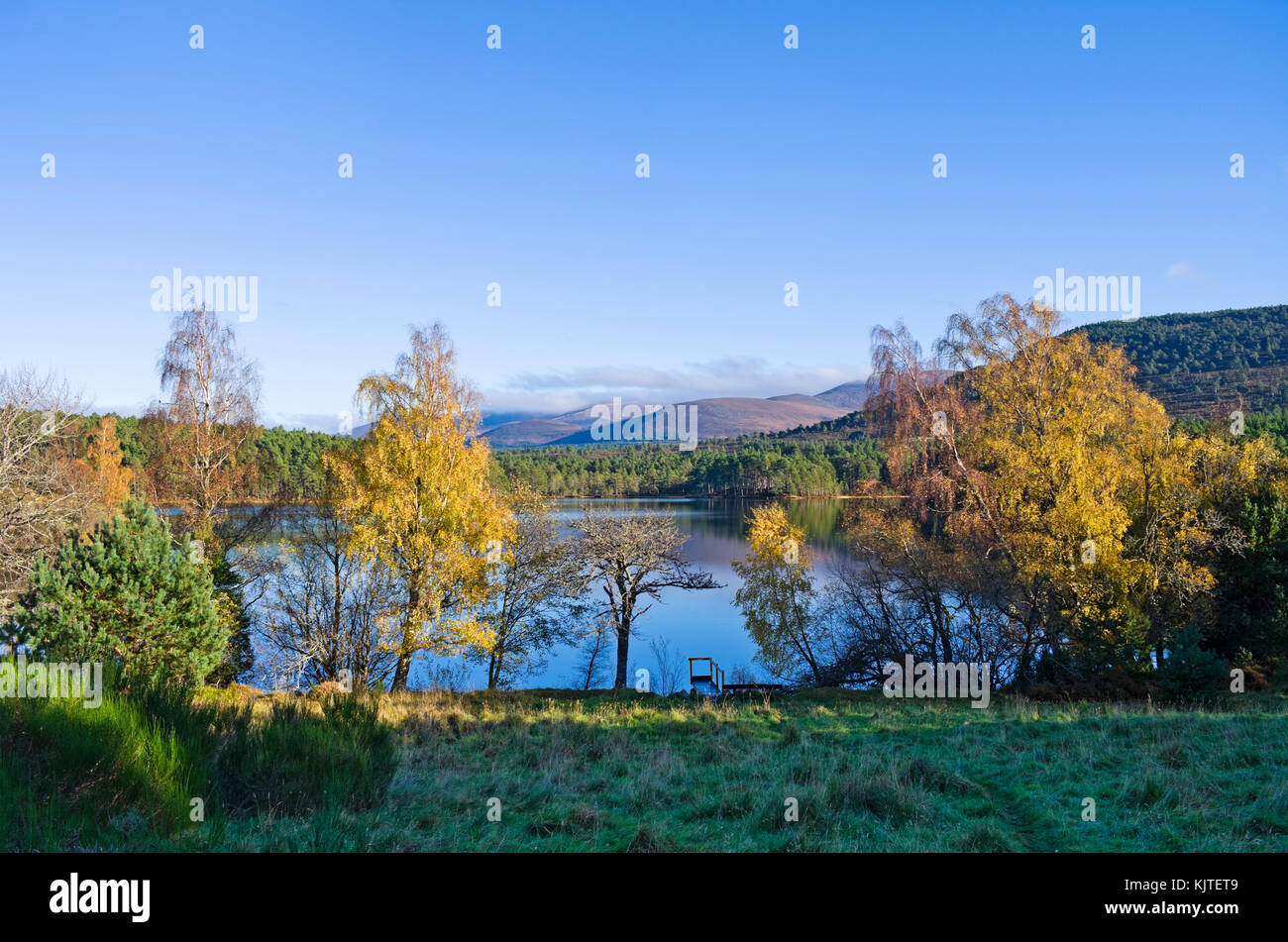 Vue sur Loch an Eilein pour les montagnes de Cairngorm, au-delà de Rothiemurchus, les Highlands écossais, ensoleillée journée d'automne, en Écosse au Royaume-Uni. Banque D'Images