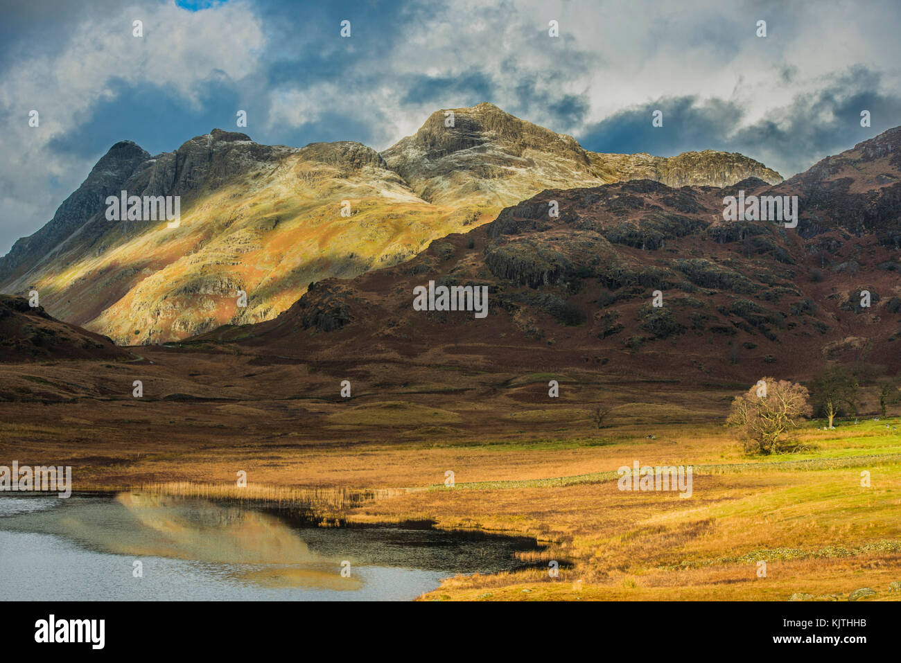 Langdale Pikes dans le parc national du district des lacs vu de Blea Tarn lors d'une journée hivernale Banque D'Images