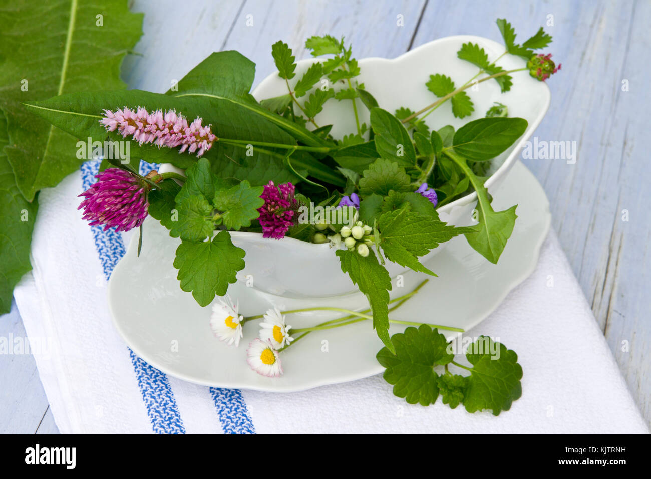 Wildkräuter dans einer Terrine als Salat verwendbar Banque D'Images