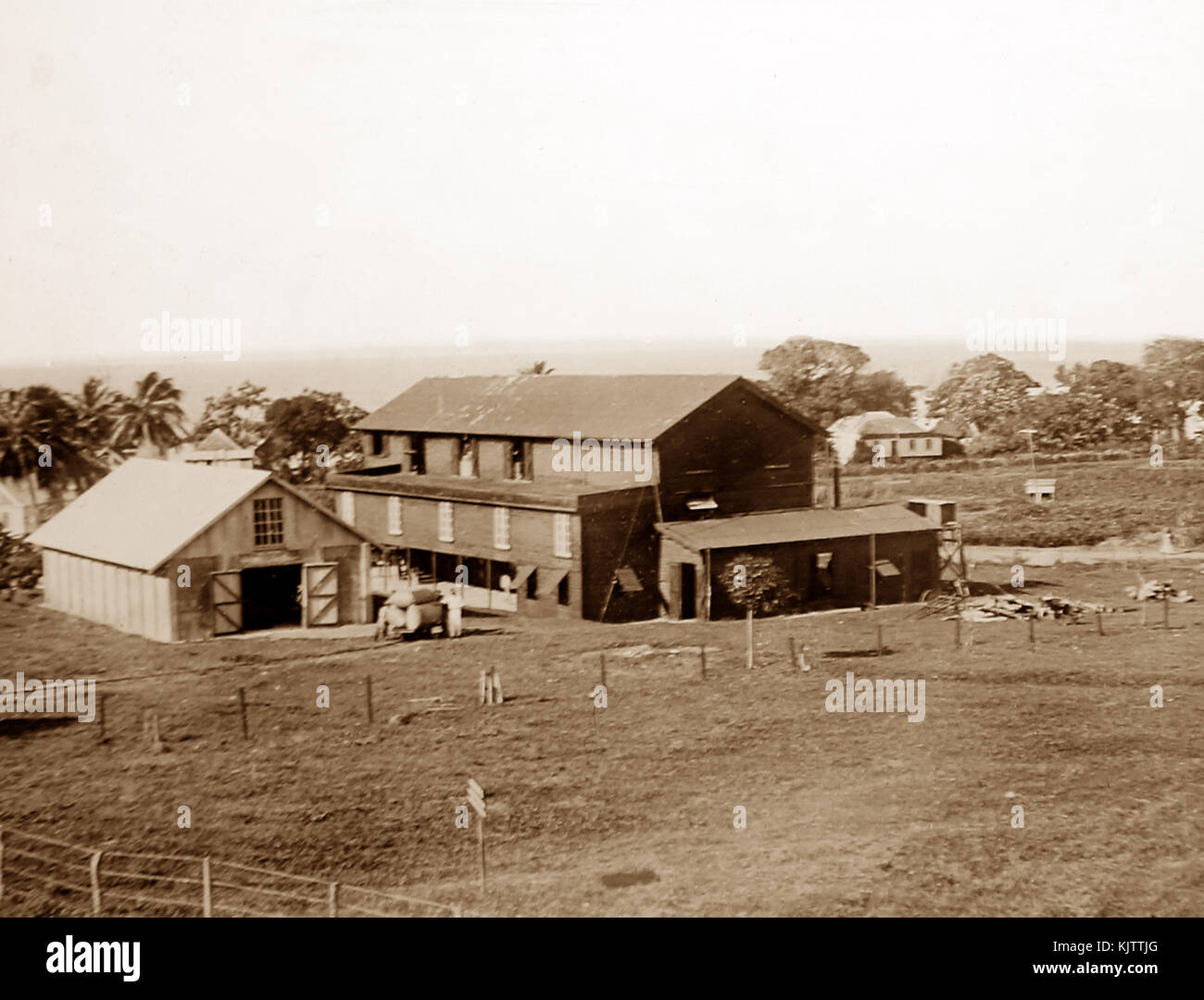 Coton centrale Ginnery à St Vincent début des années 1900 Banque D'Images