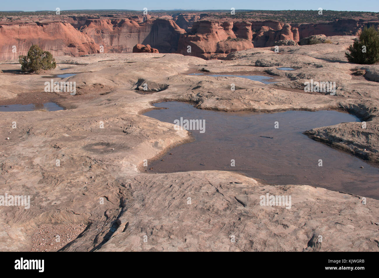 Désert de l'Arizona lacs Banque D'Images