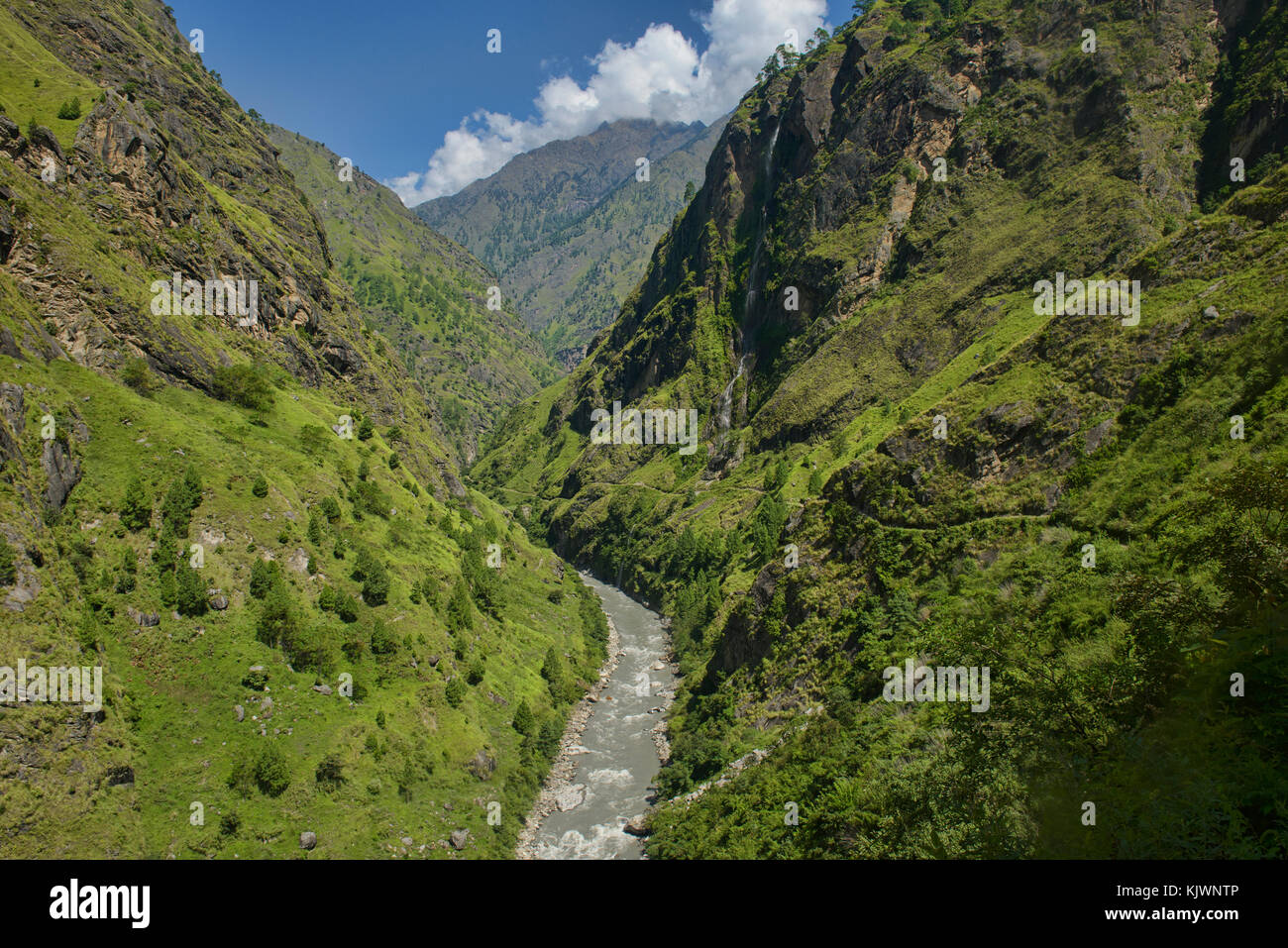 Les siyar khola traverse la luxuriante vallée de tsum près de la frontière du Tibet, Népal Banque D'Images