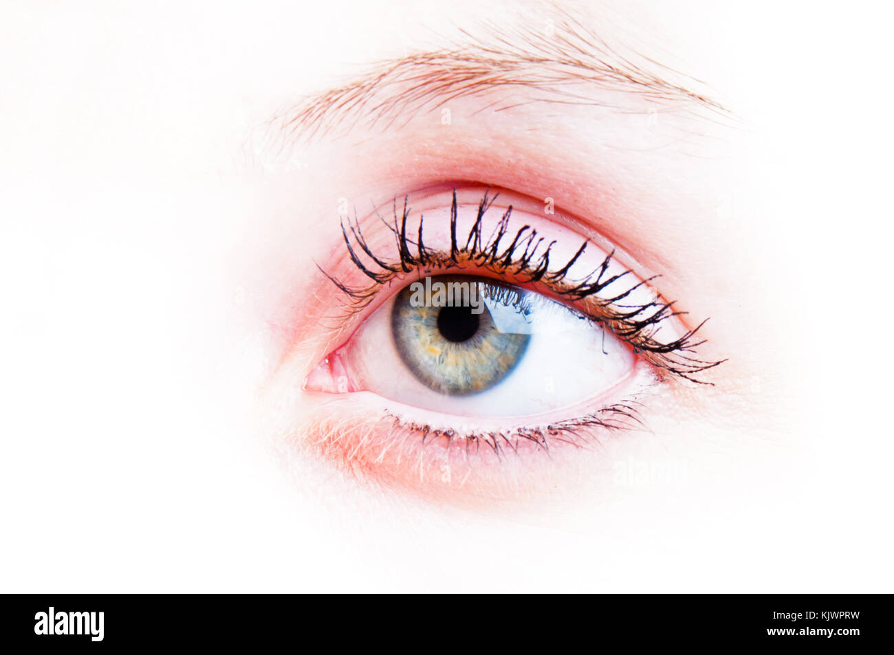 Des yeux bleu-vert femelle Banque D'Images