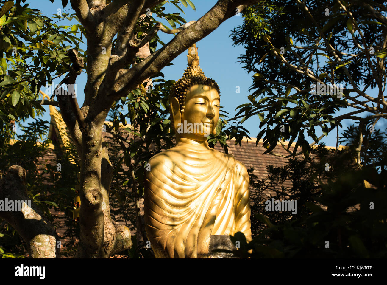 Bouddha en or dans l'ombre de Vat Choumkhong à Luang Prabang, Laos Banque D'Images