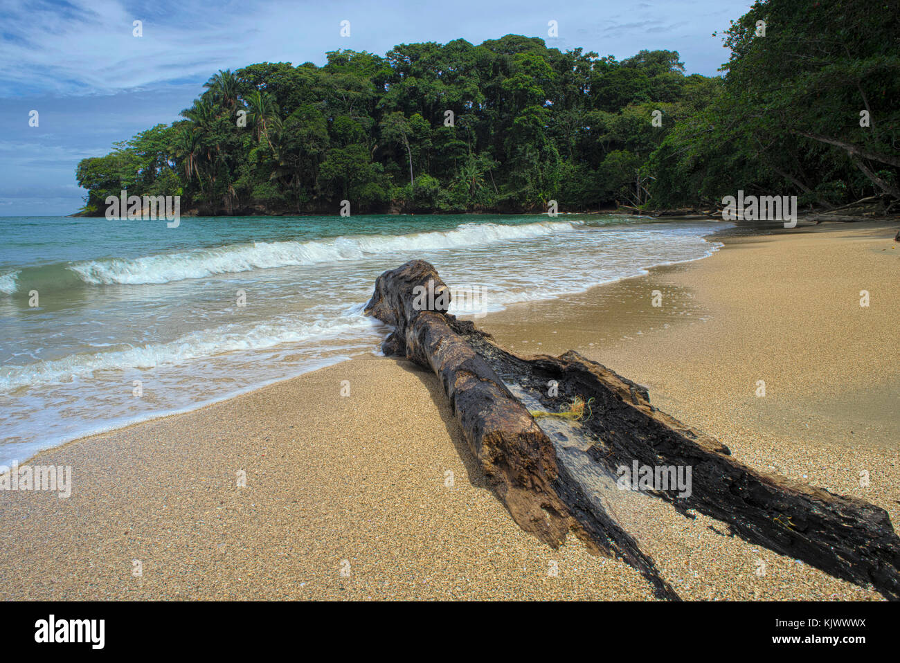 À la plage de Punta Uva, Costa Rica. La jungle profonde atteint presque dans l'eau. Sable fin et blanc brillant à la plage, qui tombe lentement dans la mer des Caraïbes. Banque D'Images À la plage de Punta Uva, Costa Rica. La jungle profonde atteint presque dans l'eau. Sable fin et blanc brillant à la plage, qui tombe lentement dans la mer des Caraïbes. Banque D'Images