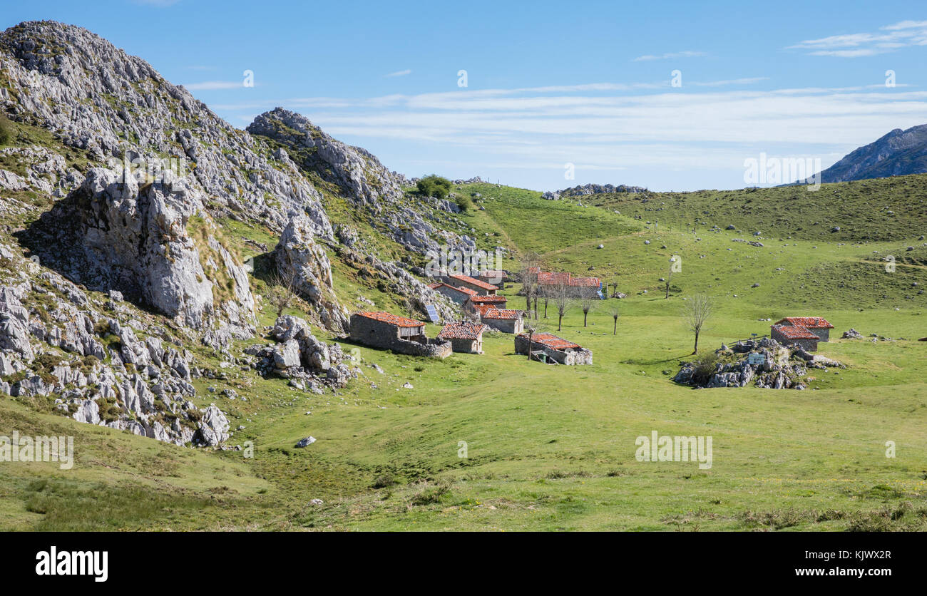 Bol de pâturages herbeux avec Shepherd's cabanas à Belbin près des Lacs de Covadonga dans le nord de l'Espagne Picos de Europa Banque D'Images