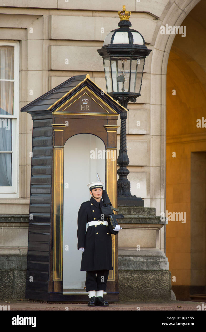 Le couturier Alex Stacey prend sa position dans une boîte de sentry, alors que des marins de la Marine royale effectuent la cérémonie de la relève de la garde à Buckingham Palace, Londres, pour la première fois dans ses 357 ans d'histoire. Banque D'Images