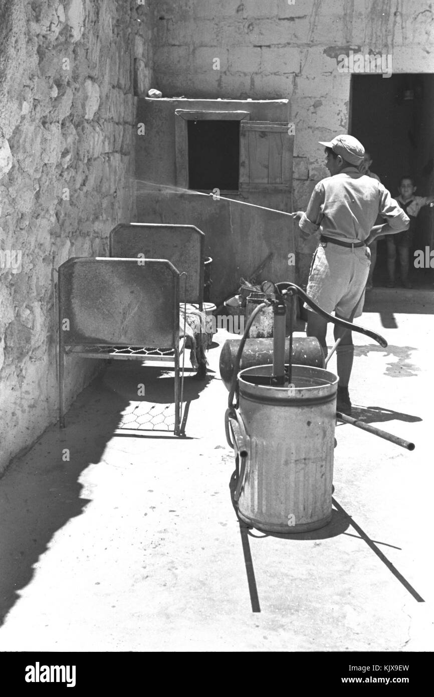 Cet incident fait référence à l'utilisation de DDT, pesticide controversé, à Beer Sheva, en Israël. La pulvérisation faisait partie d'une mesure de santé publique visant à lutter contre les maladies transmises par les insectes, mais elle a suscité des inquiétudes quant aux effets de l'utilisation du DDT sur l'environnement et la santé. Banque D'Images