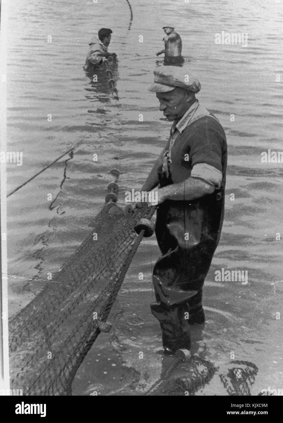 Israël 13938 La pêche dans les étangs du poisson Banque D'Images