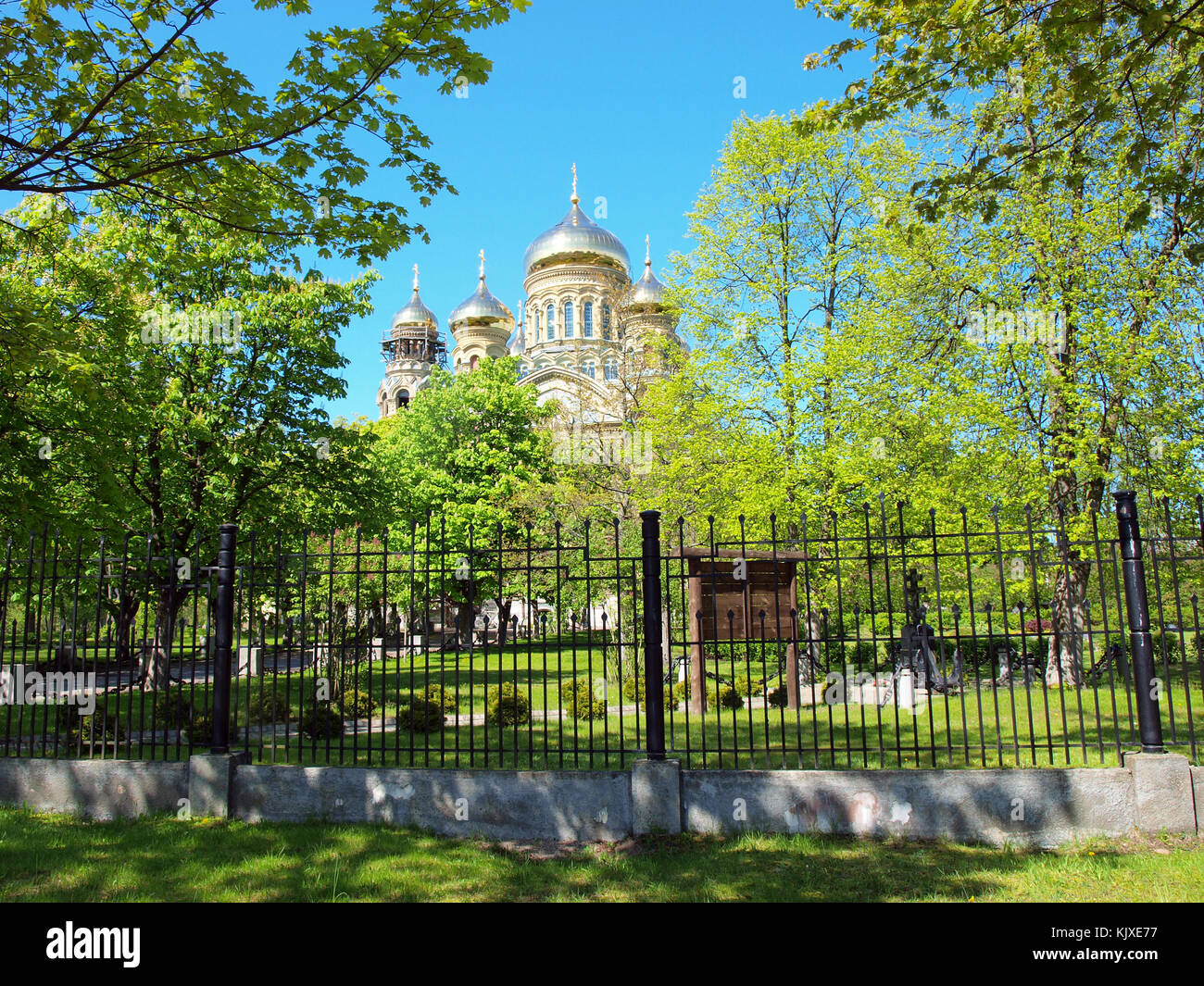 Les dômes de la cathédrale doré derrière le parc arbres Banque D'Images