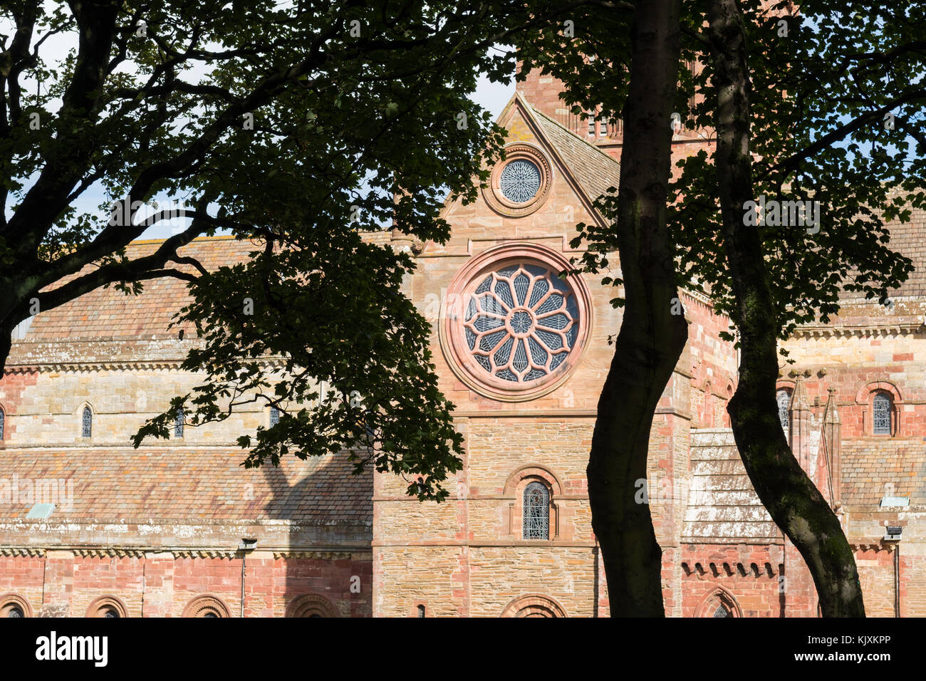 Rosace de la cathédrale St Magnus, Kirkwall, Orkney, Scotland, UK Banque D'Images