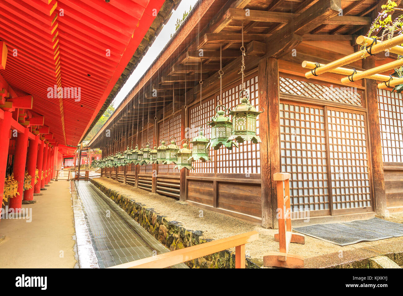 Kasuga Taisha lanternes Banque D'Images