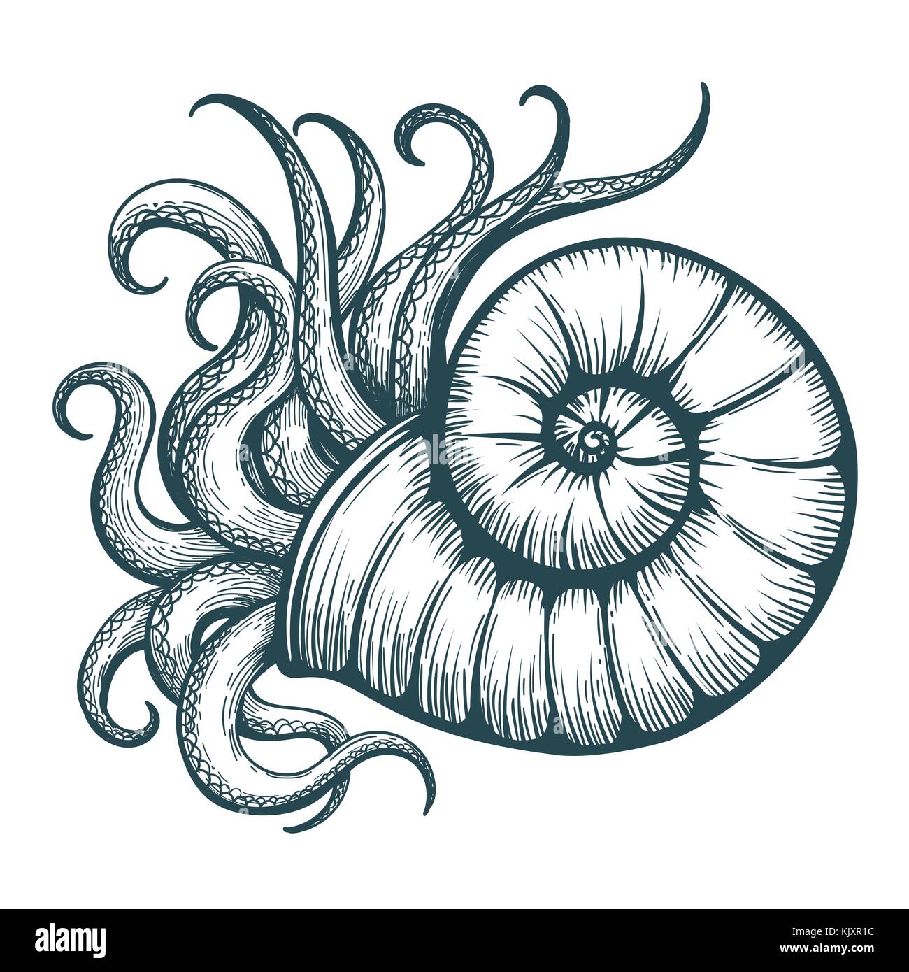 Hand drawn tentacules de la mer en shell style tatouage. vector illustration. Illustration de Vecteur