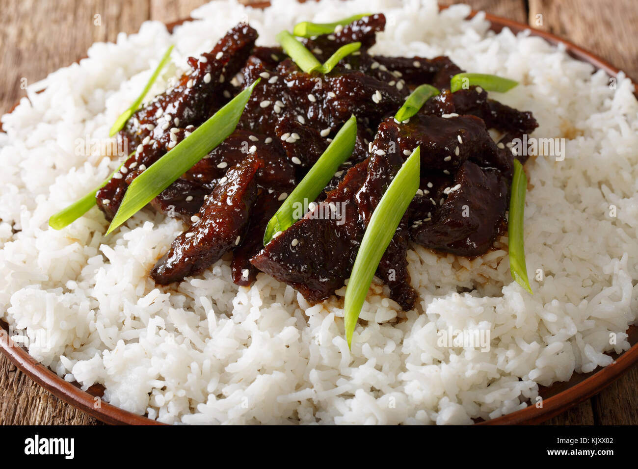 Boeuf mongole avec la sauce et garnir de riz macro sur une plaque horizontale. Banque D'Images