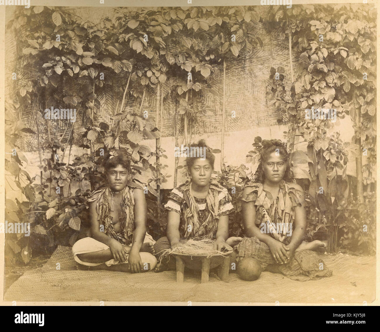 Trois femmes samoanes prépare à faire du kava, ca. 1890 Banque D'Images