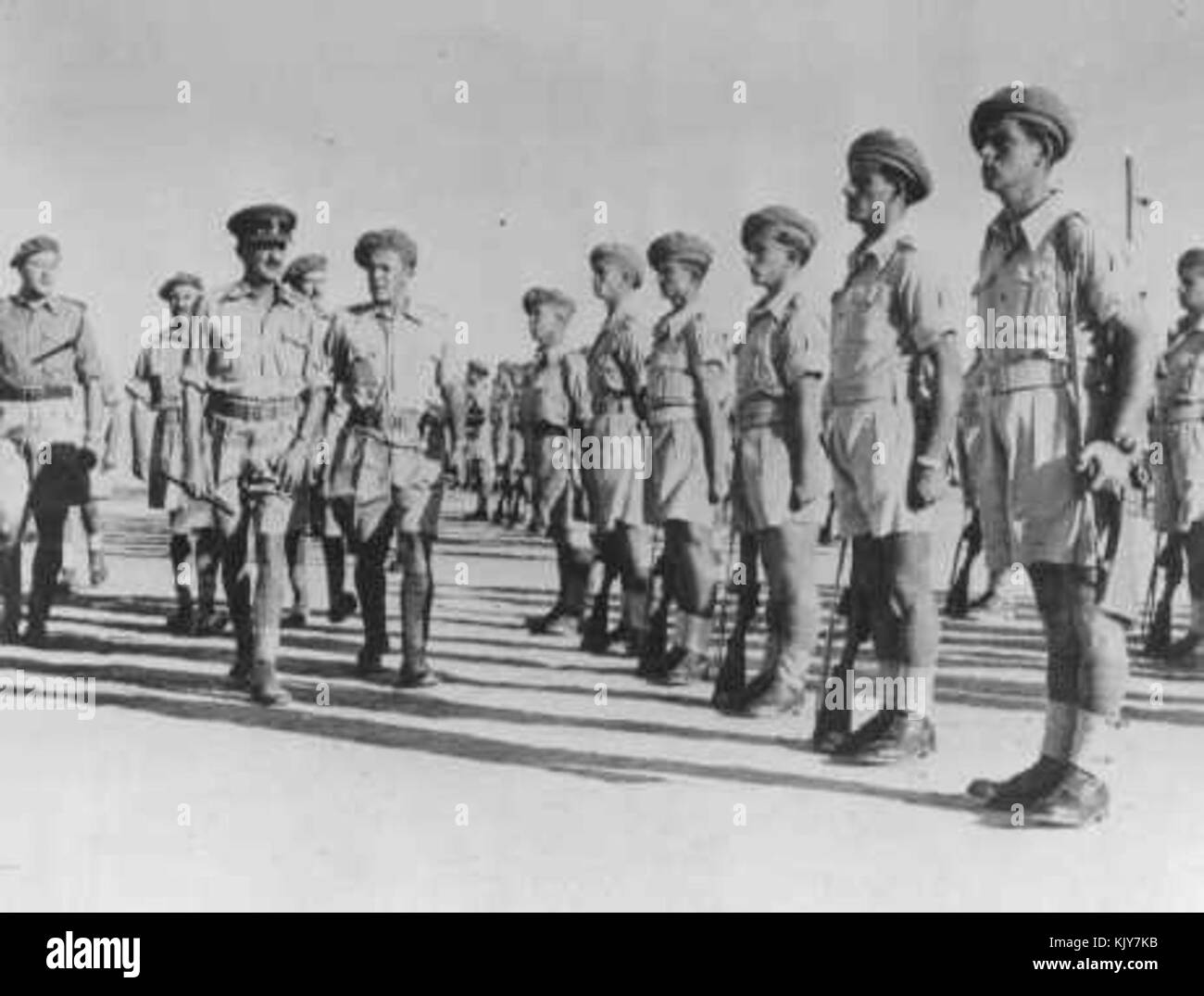 Brigade juive Banque de photographies et d’images à haute résolution